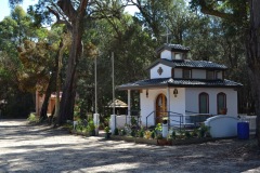 Sts Teresa de Los Andes & Padre Albert Hurtado